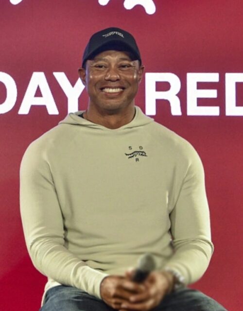 Woods Tiger Hoodie in Beige