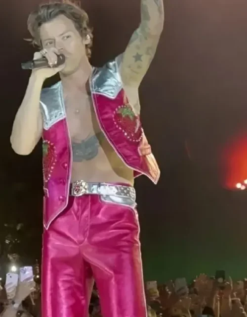Harry Styles Concert Pink Strawberry Vest