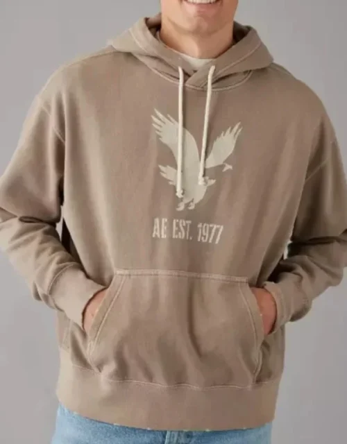 AE Heritage Graphic Hoodie