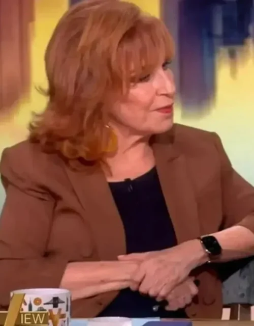Joy Behar The View Brown Blazer